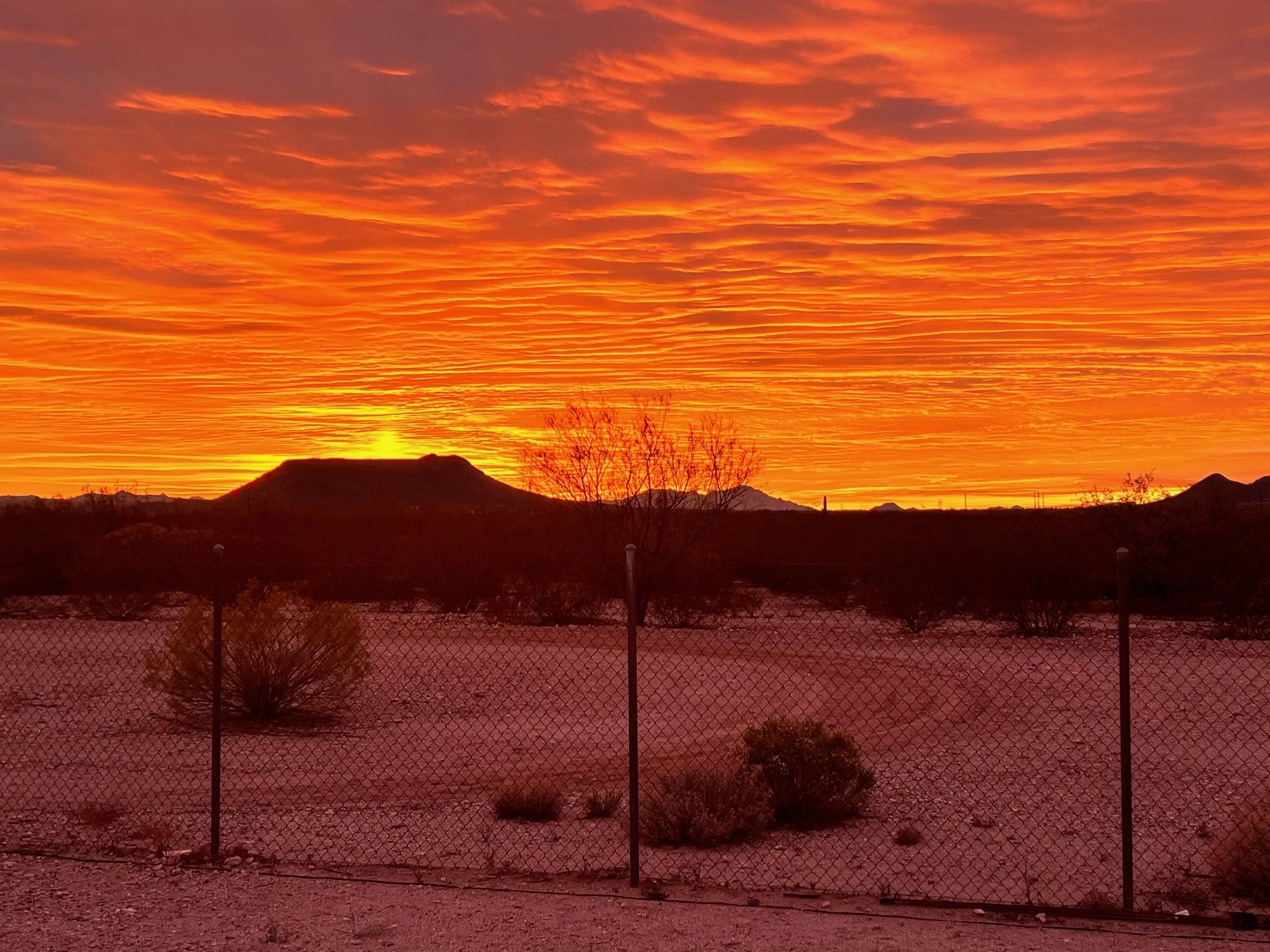Enjoying Tucson Arizona