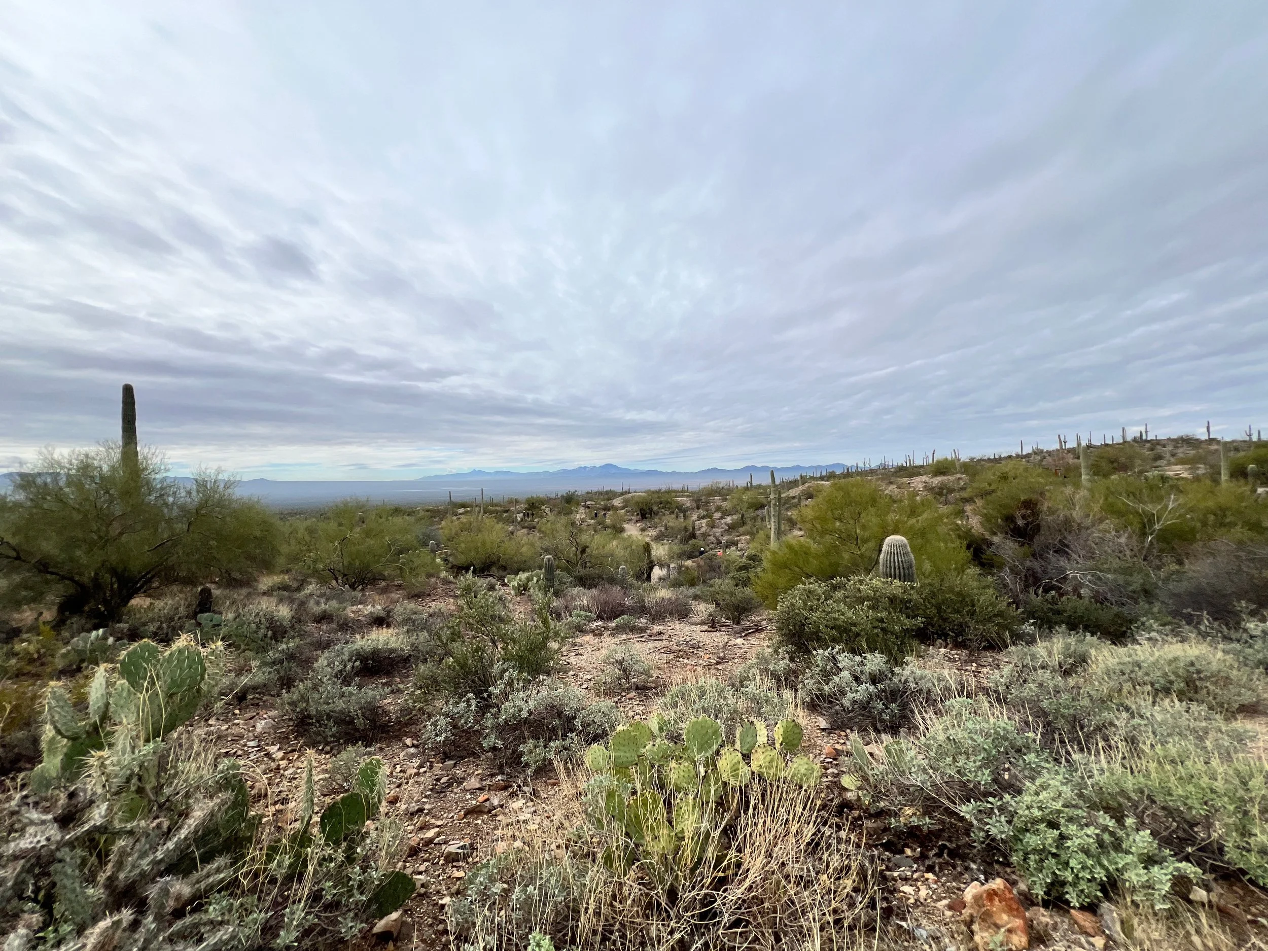 So Much to Do, So Little Time