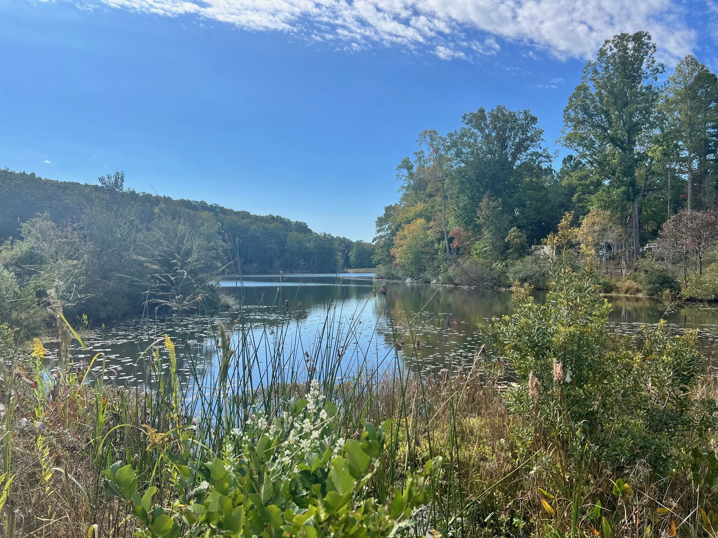 Visiting a Few New Places in North Carolina