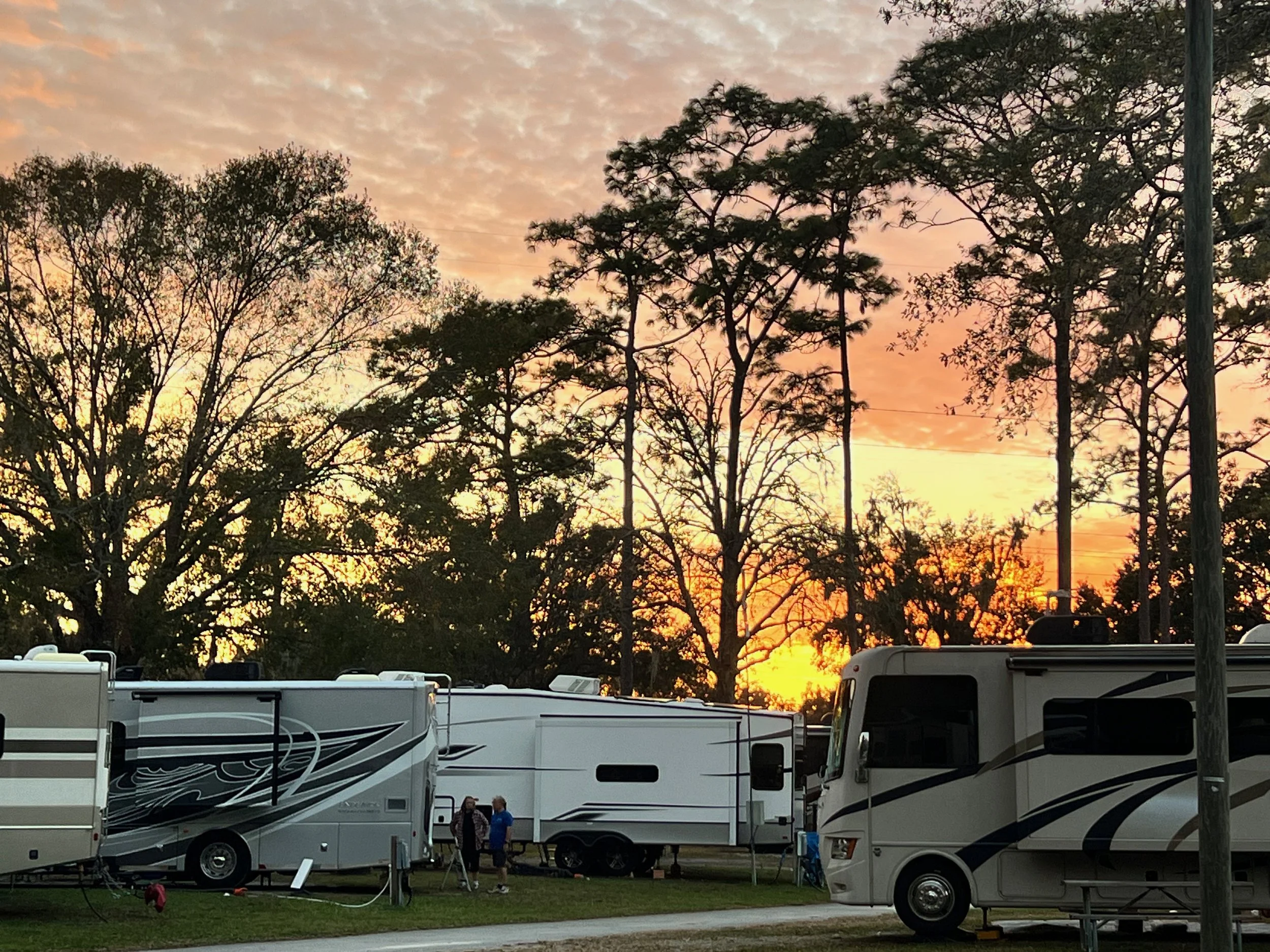 Setting Up Our Florida Home