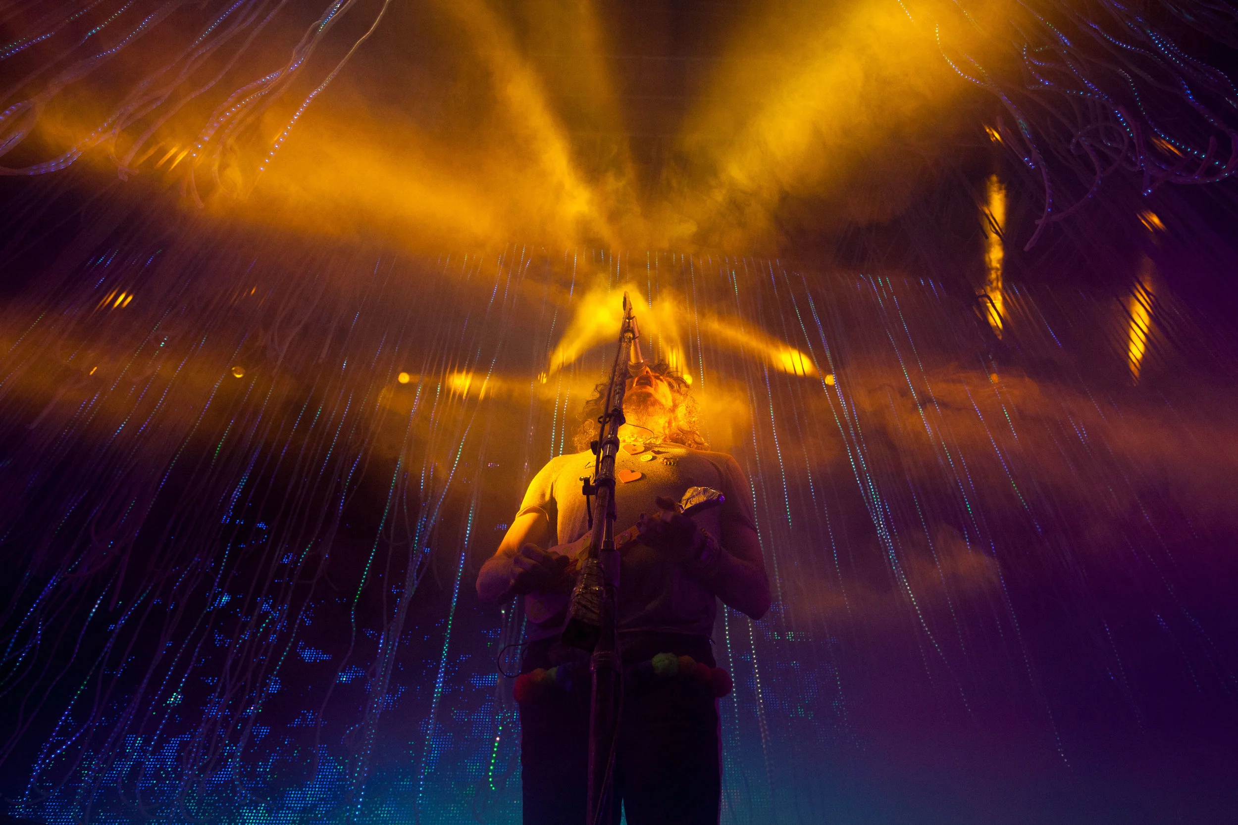 LAZARIAN_FLAMINGLIPS_14.jpg