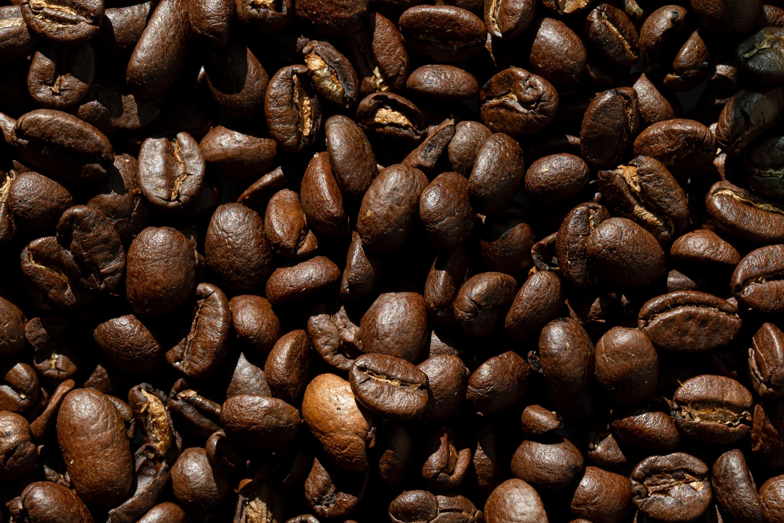 Untitled Session10117.JPG