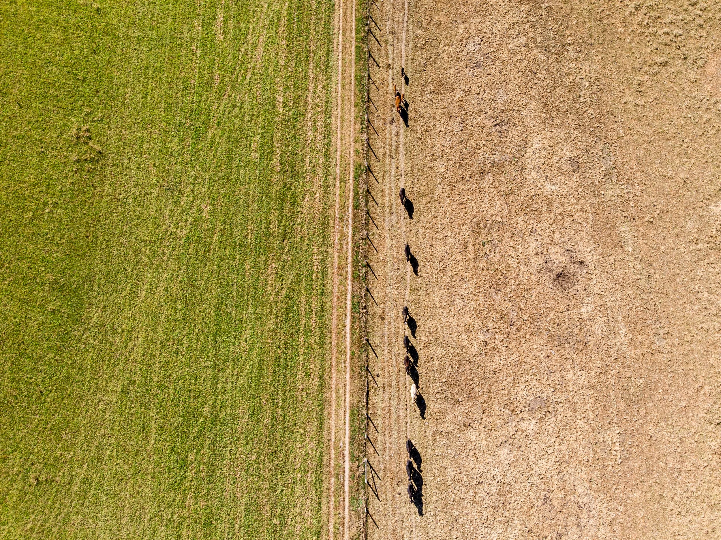 10202022_SpartaMural01 2.JPG