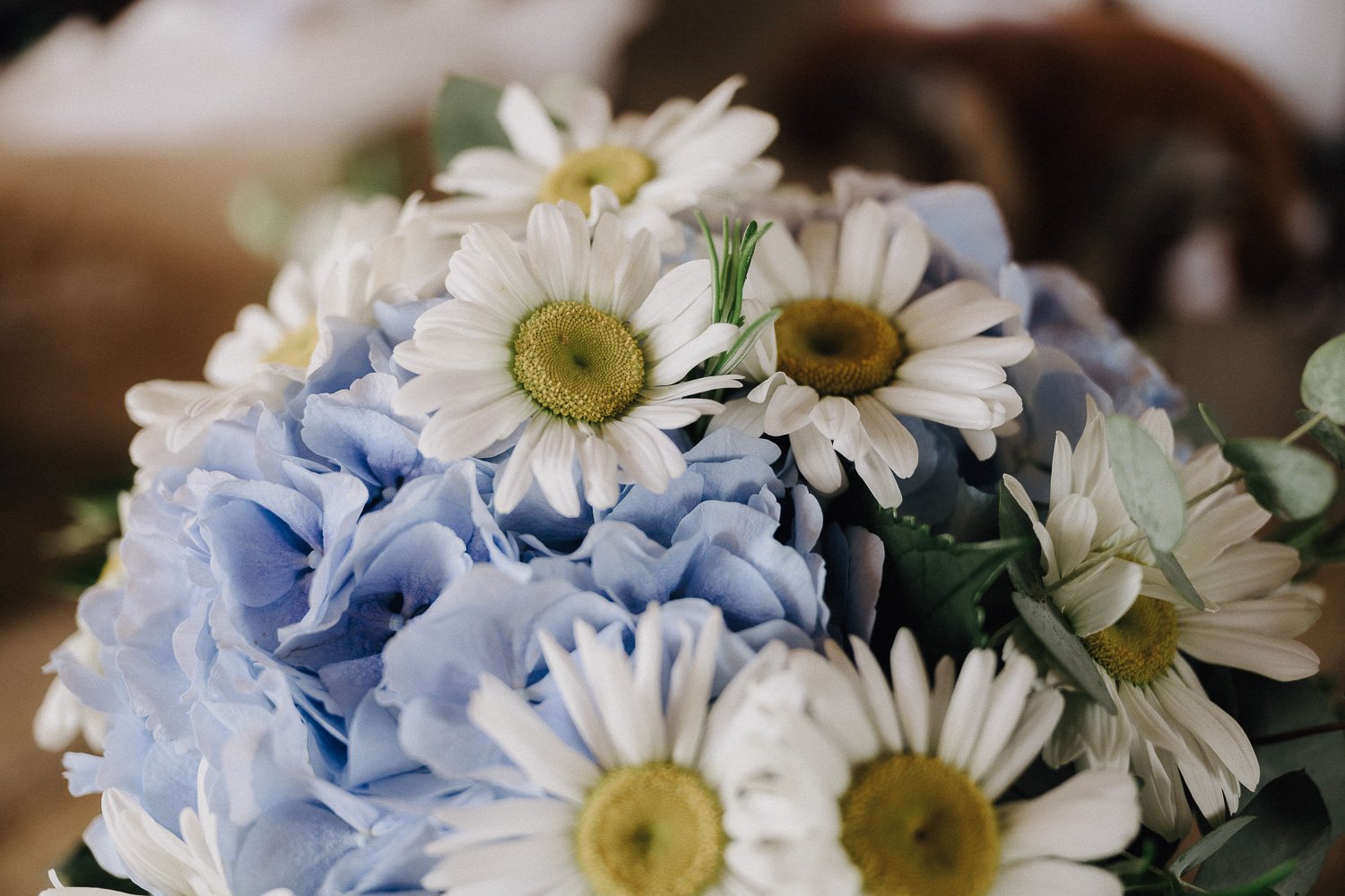 WeddingIsa&Thomas-1017.jpg