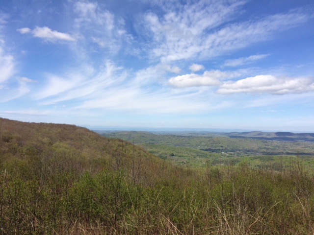 overlook Berry Pond.JPG