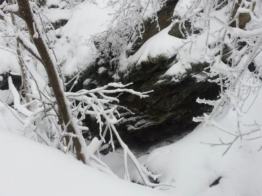 Winter Bulletin 2018 - 2019