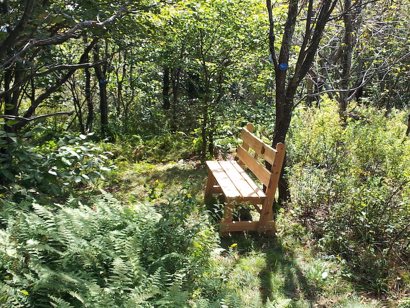Phil'sBench7_small.jpeg
