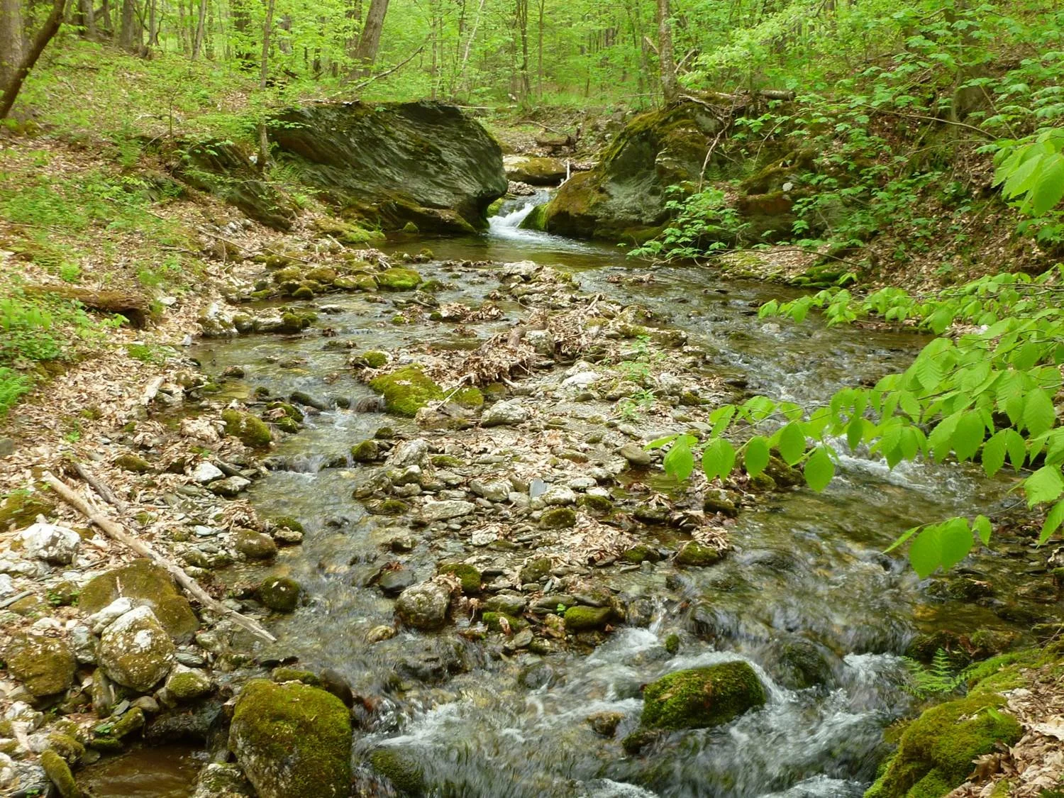 Picture7.jpg
