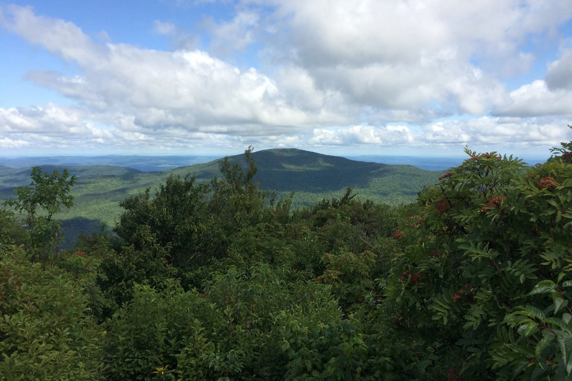 Exploring the region: Windham Mtn from the Blackhead Range. (Photo by Martha Waldman)