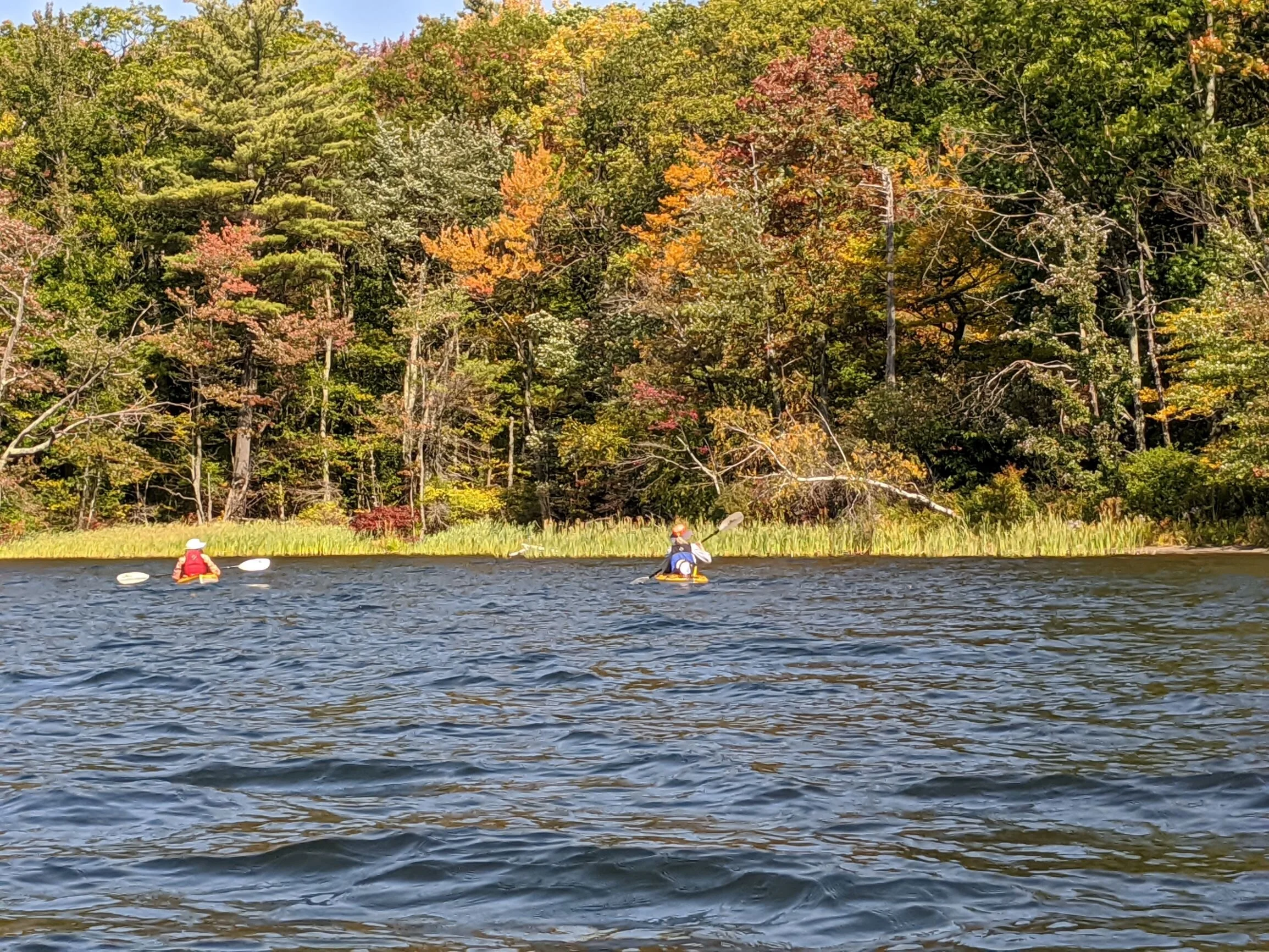 Fall Gathering paddle on Long Pond. Pic by L Siegard.