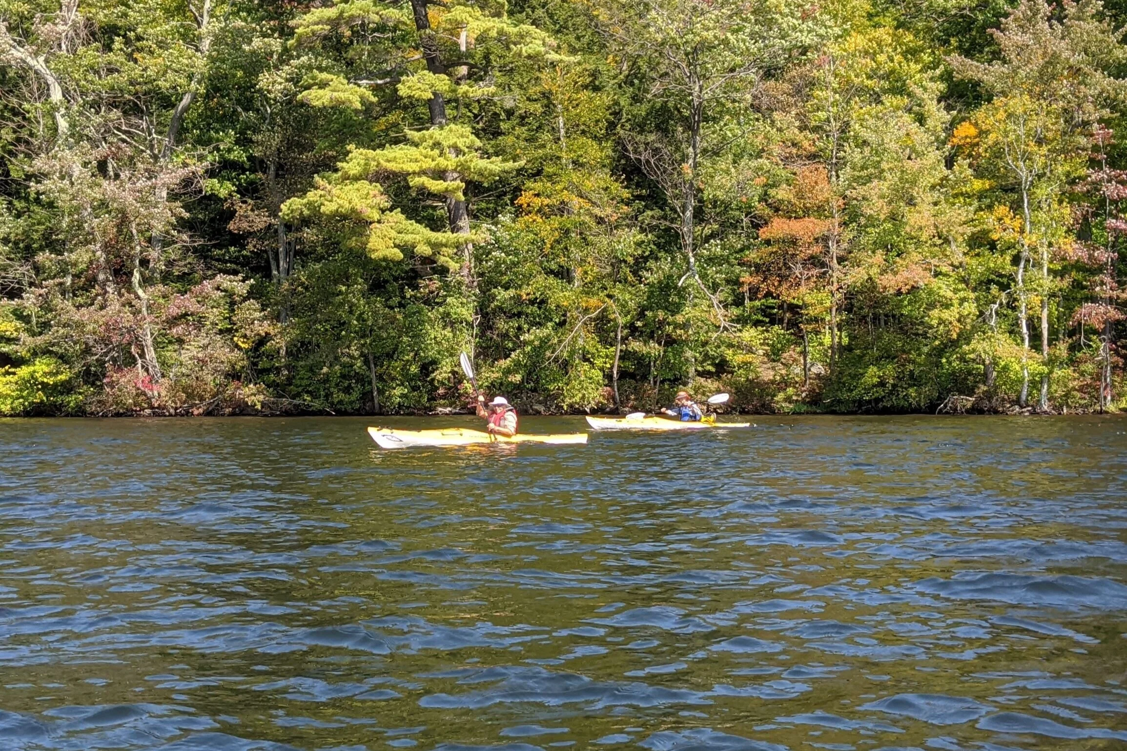 Enjoying fabulous weather while paddling on Long Pond. Pic by L Siegard