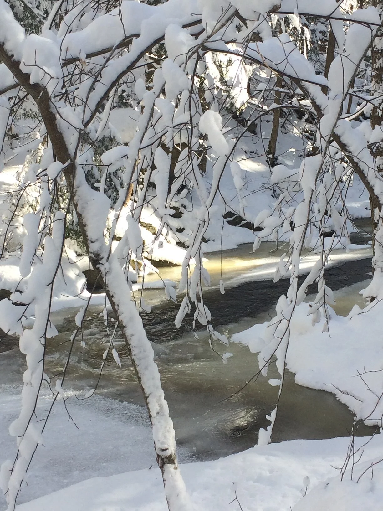 February Newsletter 2021