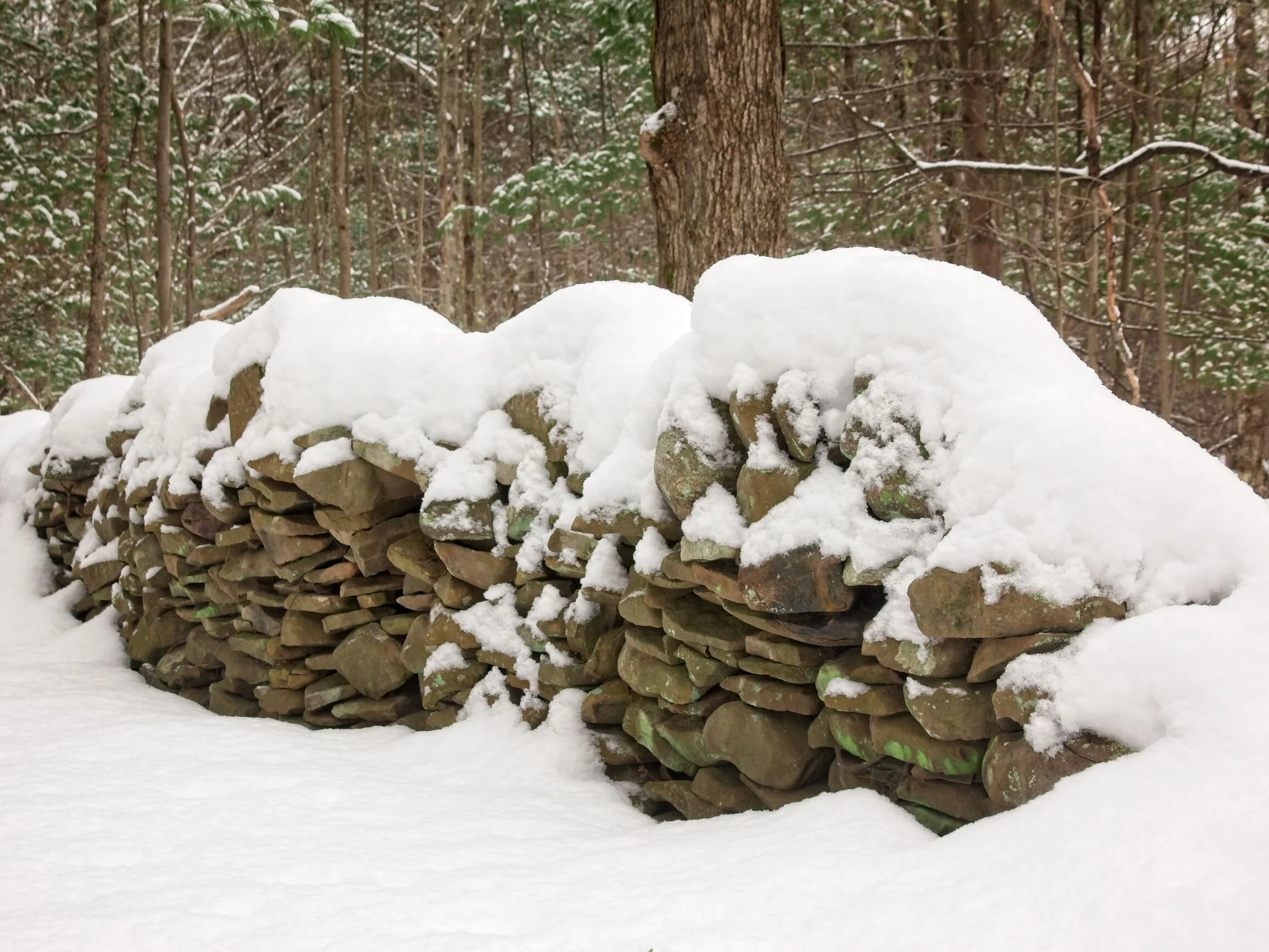 Stone wall at Wolf Creek Falls Preserve. Pic by J Berringer