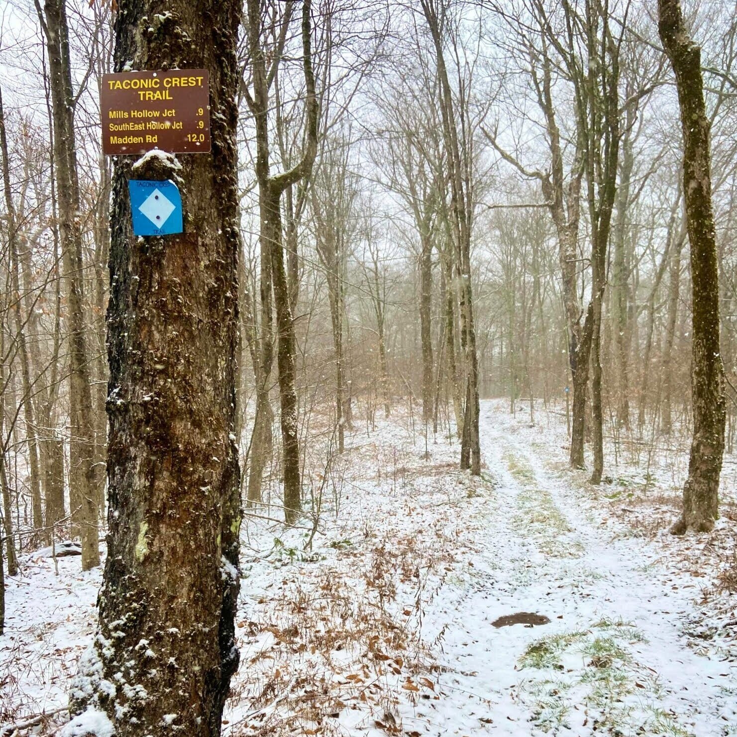 Snow flurry on TCT. Pic by J Berringer