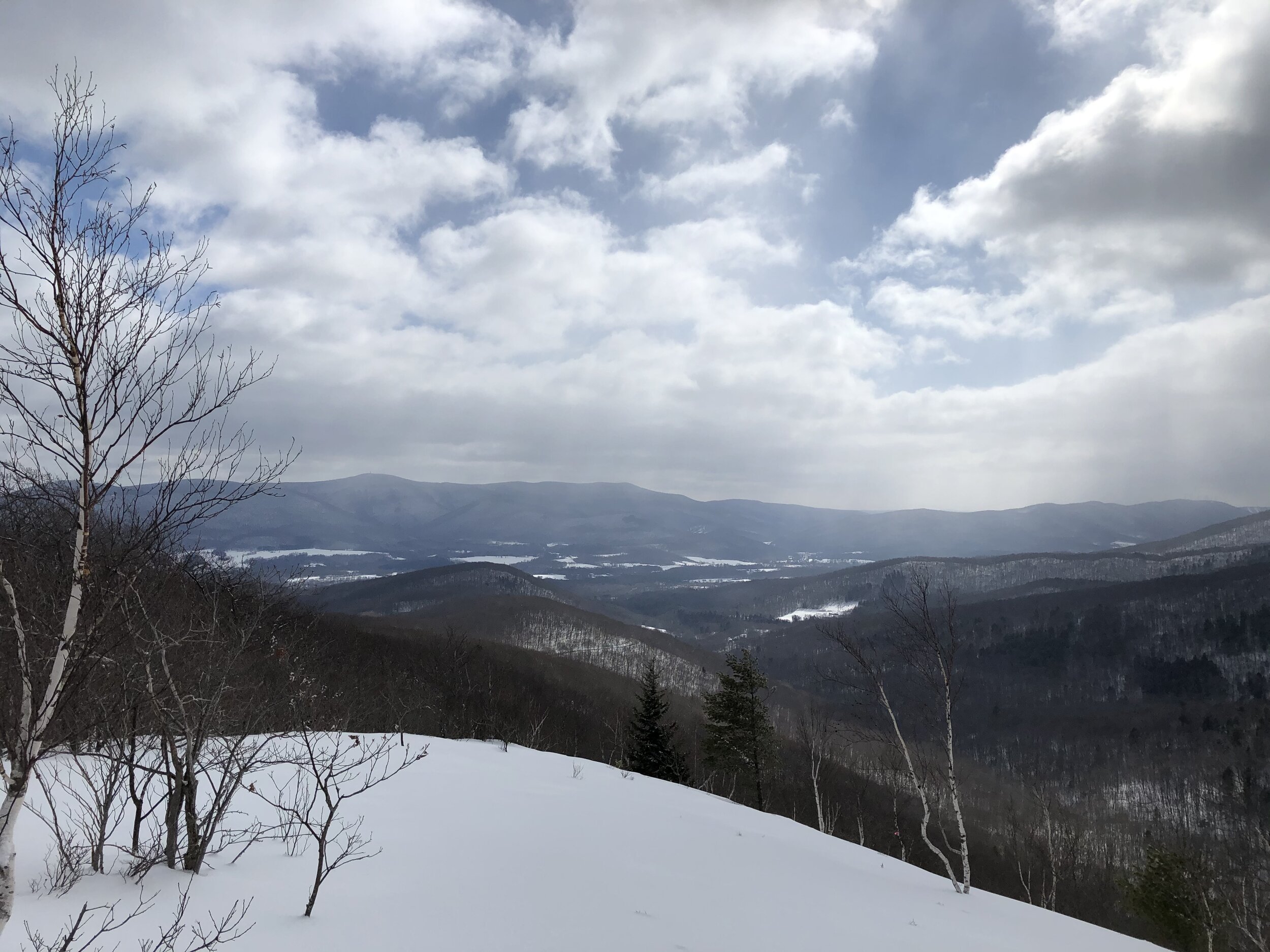 Greyloc from Taconic Crest area. Pic by M Waldman