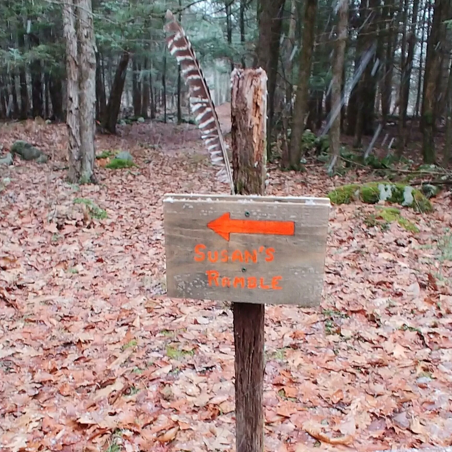 Trail named for Susan Roberts, AFCF. Pic by K Ross