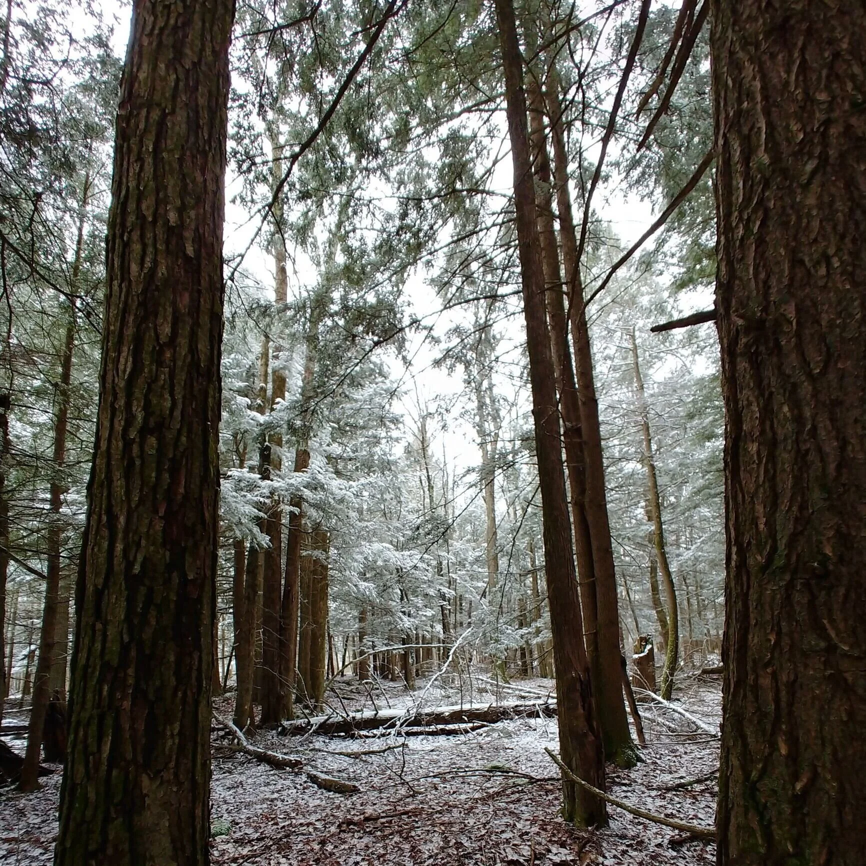 Early winter at AFCF. Pic by K Ross