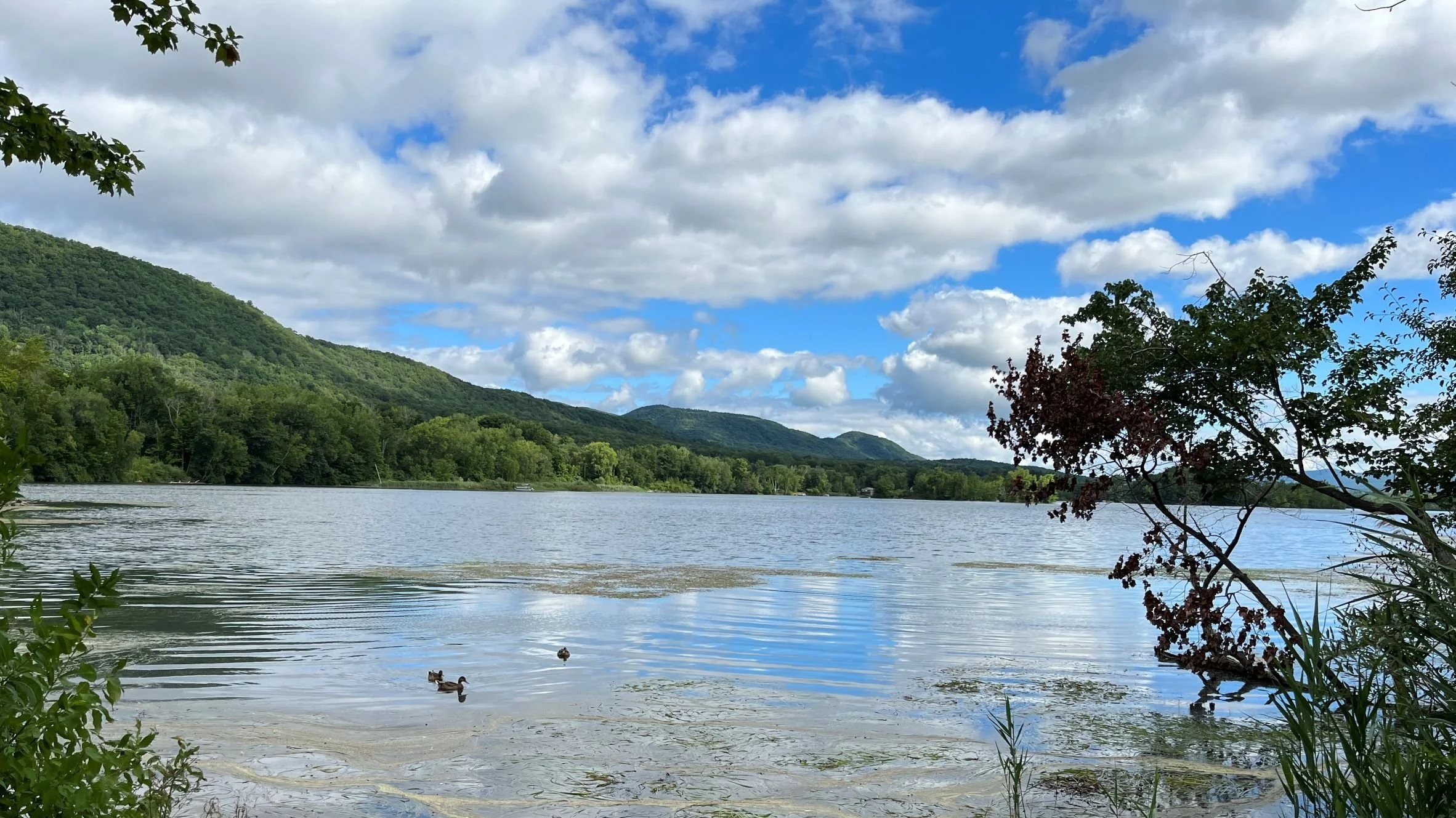 September Newsletter 2022