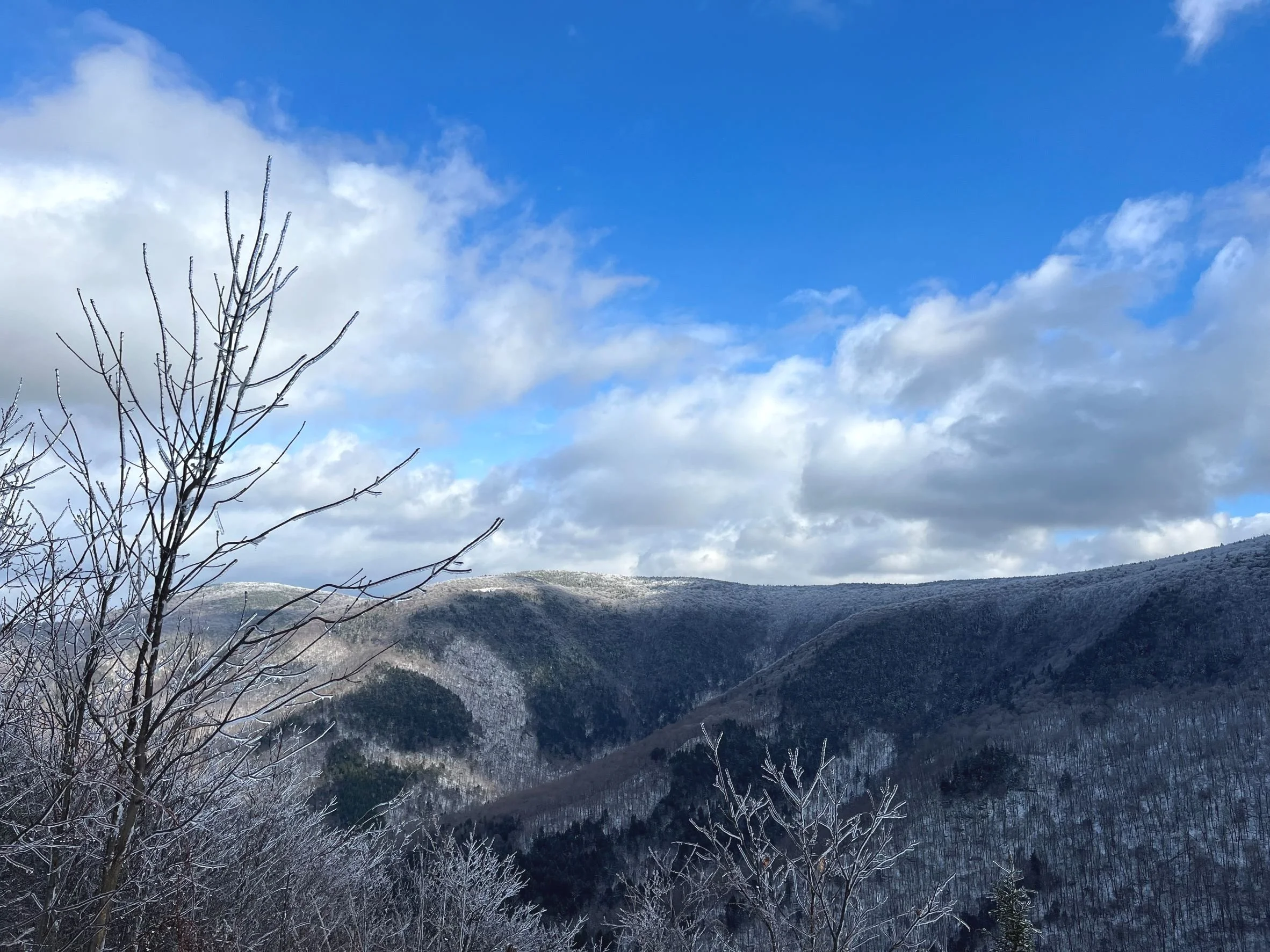 December Newsletter 2022