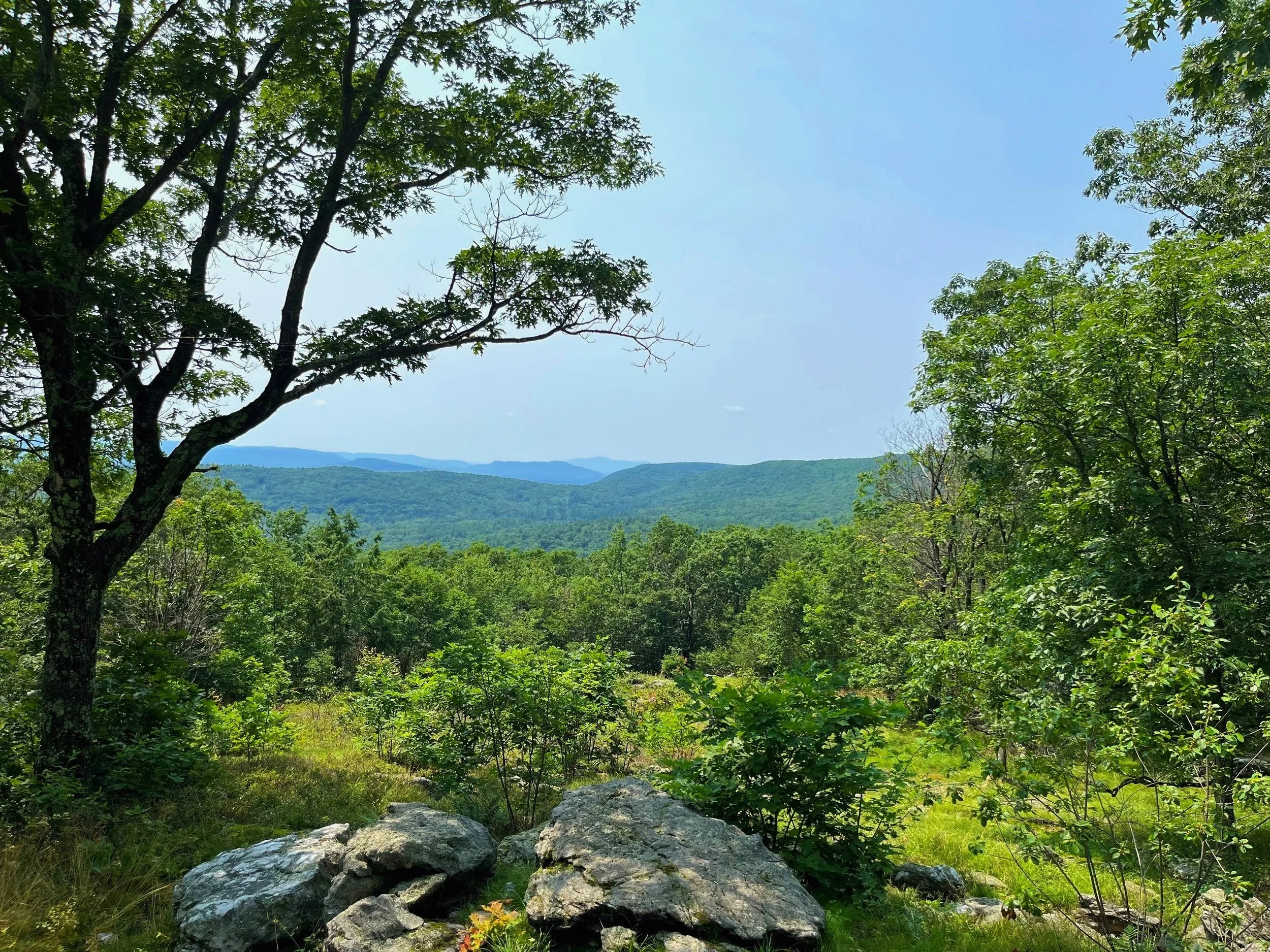 August Newsletter 2023