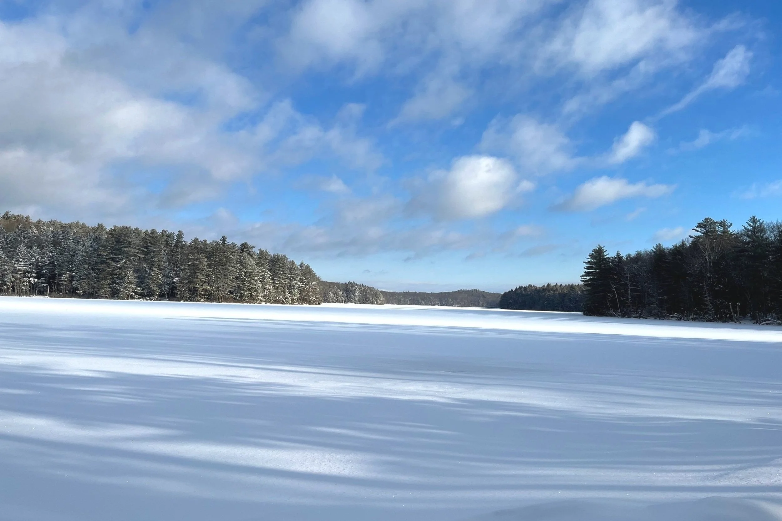 February Newsletter 2024
