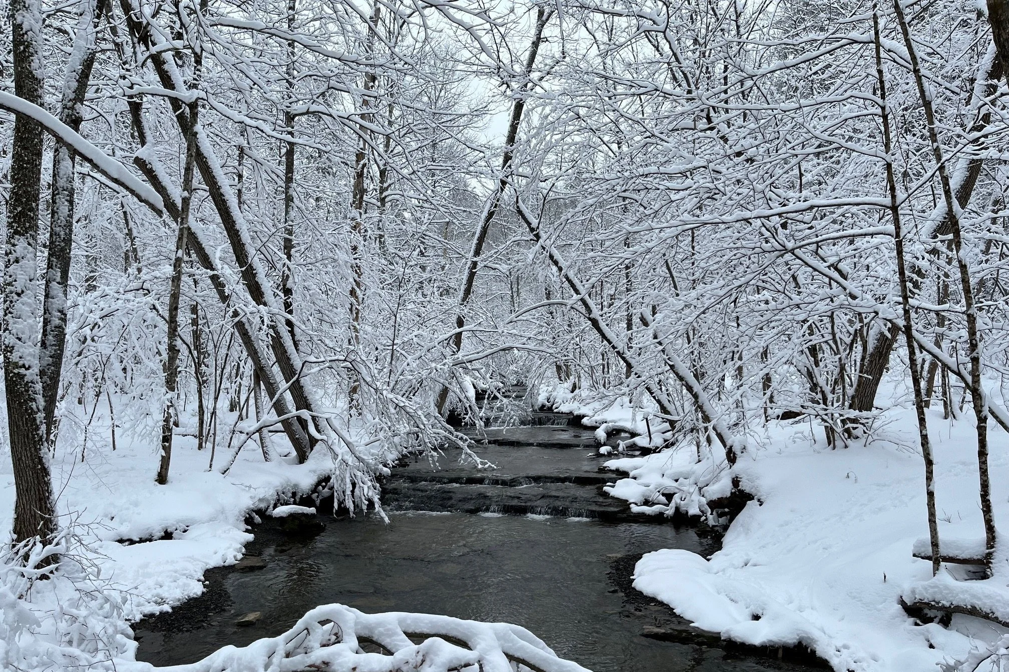 January Newsletter 2025