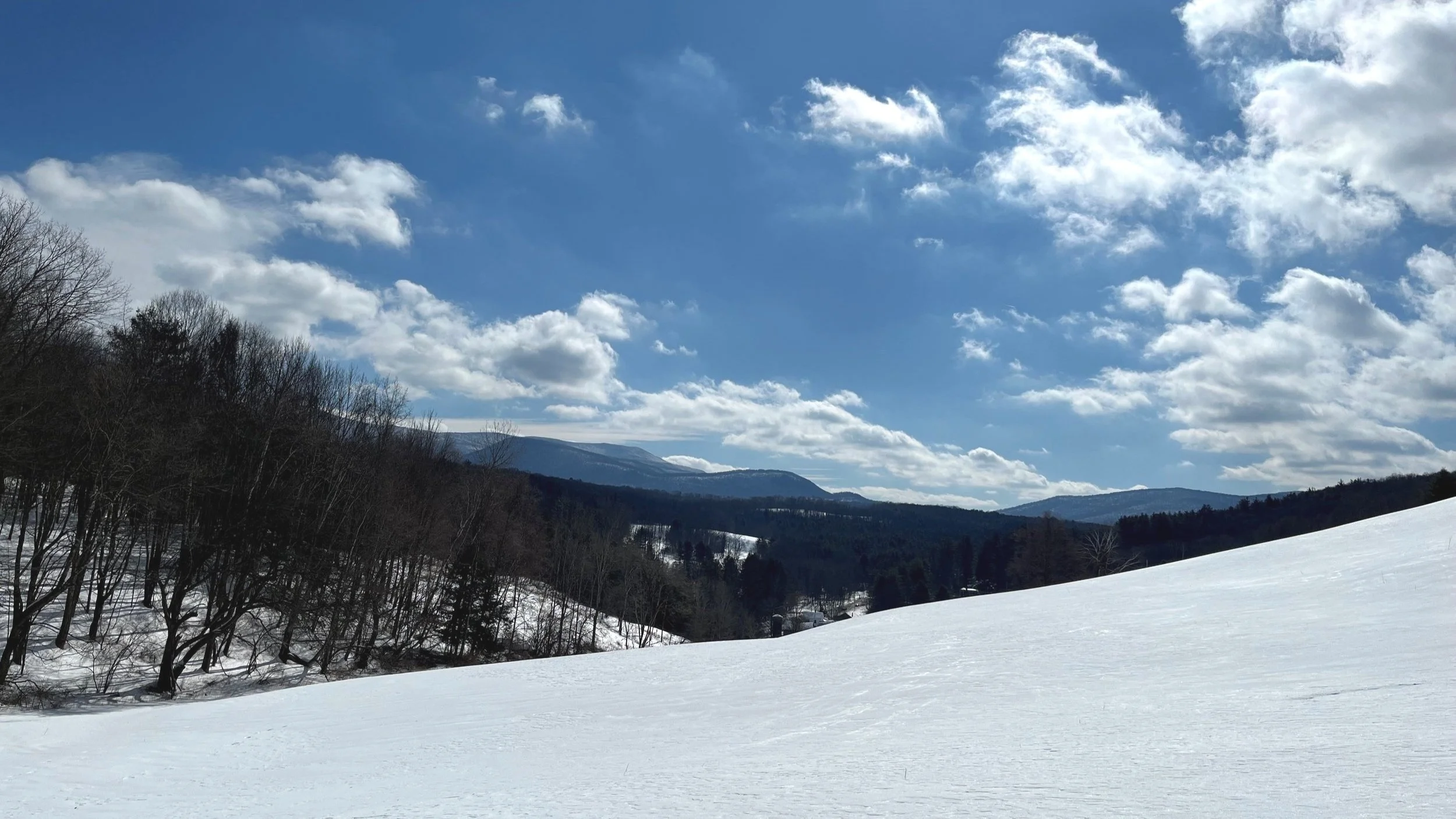 March Newsletter 2025