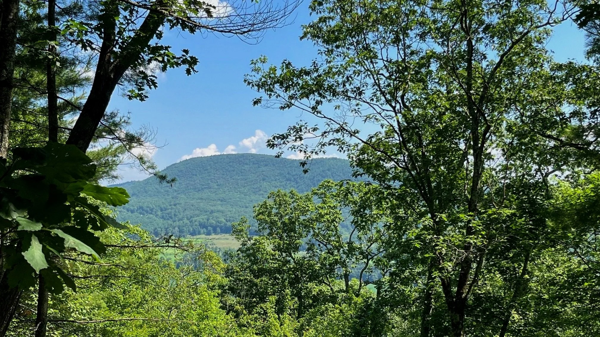 August Newsletter 2025