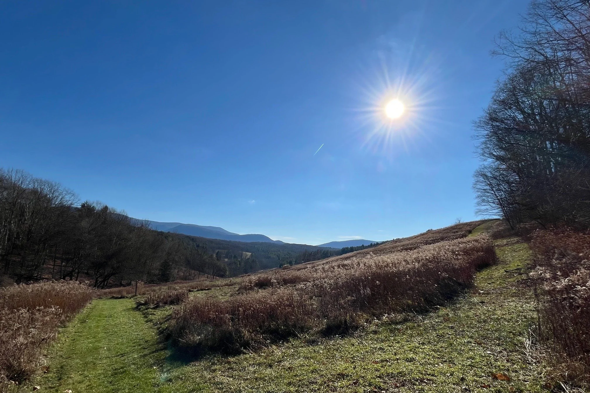 December Newsletter 2025