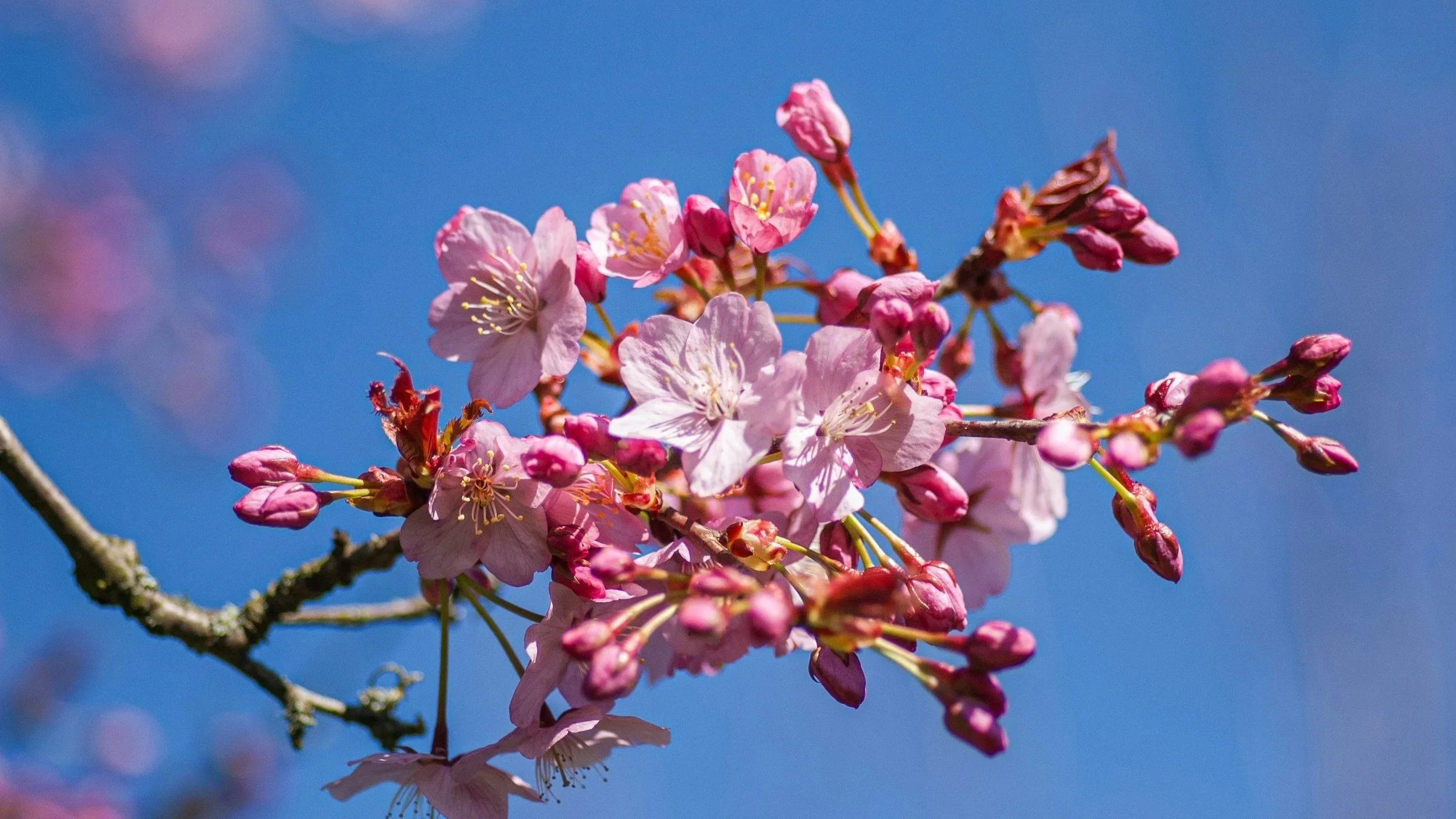 April Newsletter 2026