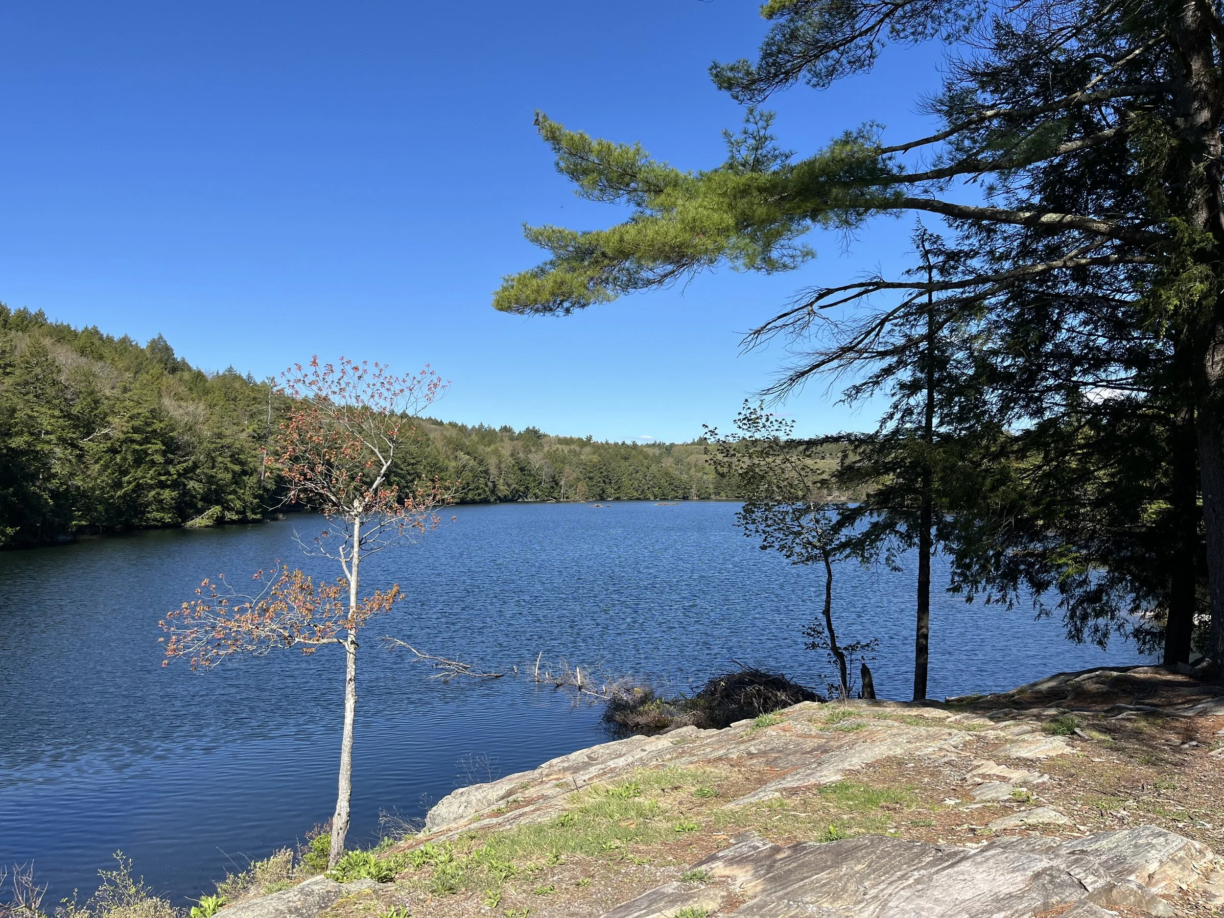 June Newsletter