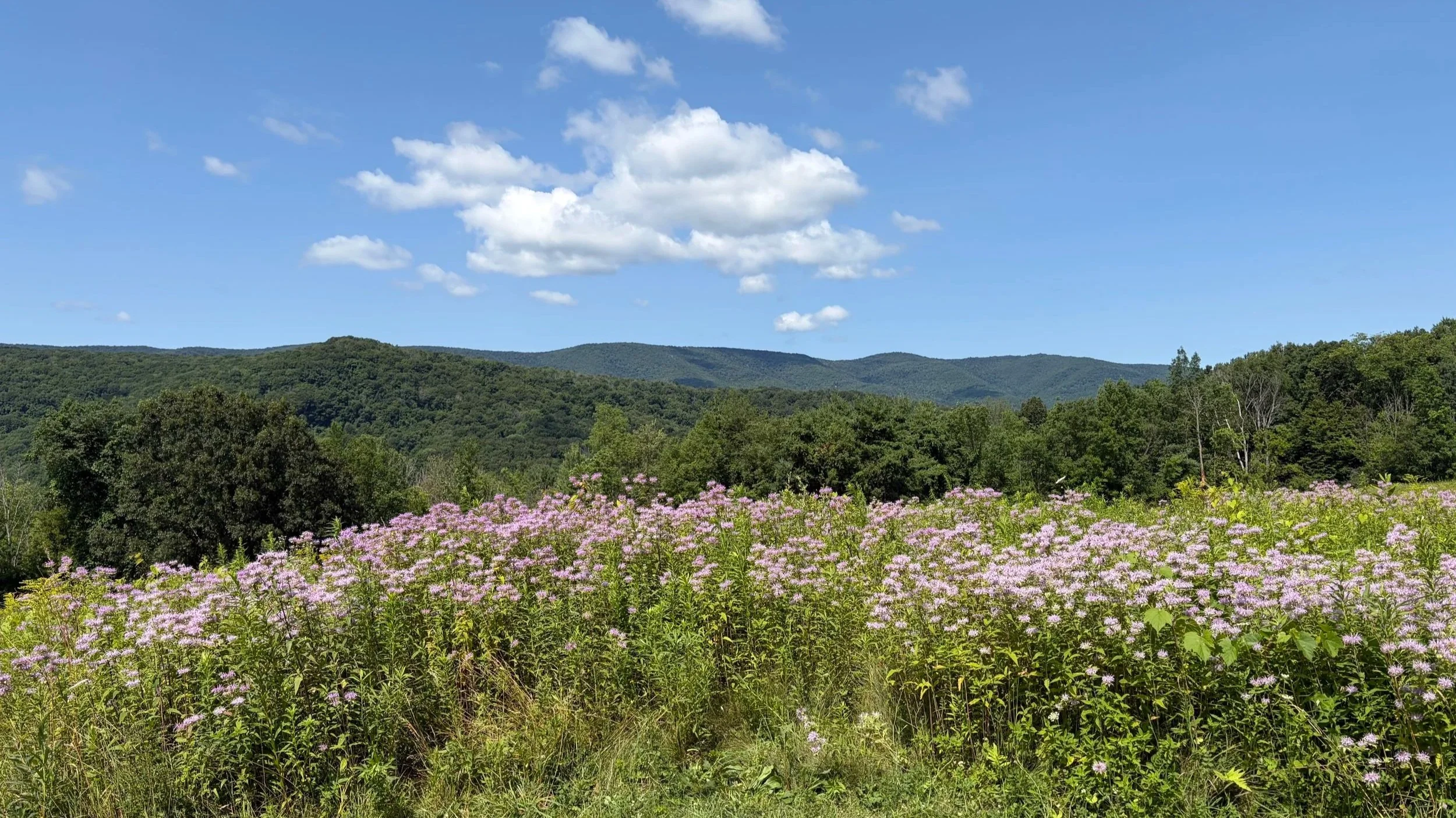 August Newsletter