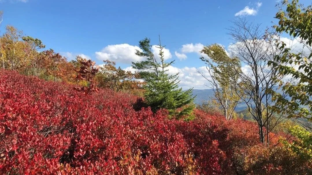 October Newsletter 2026