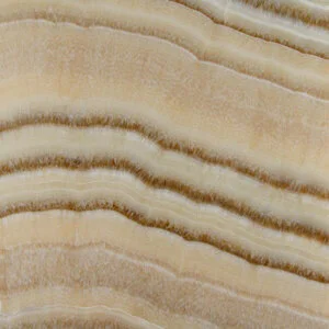 Onyx 2 (Copy)