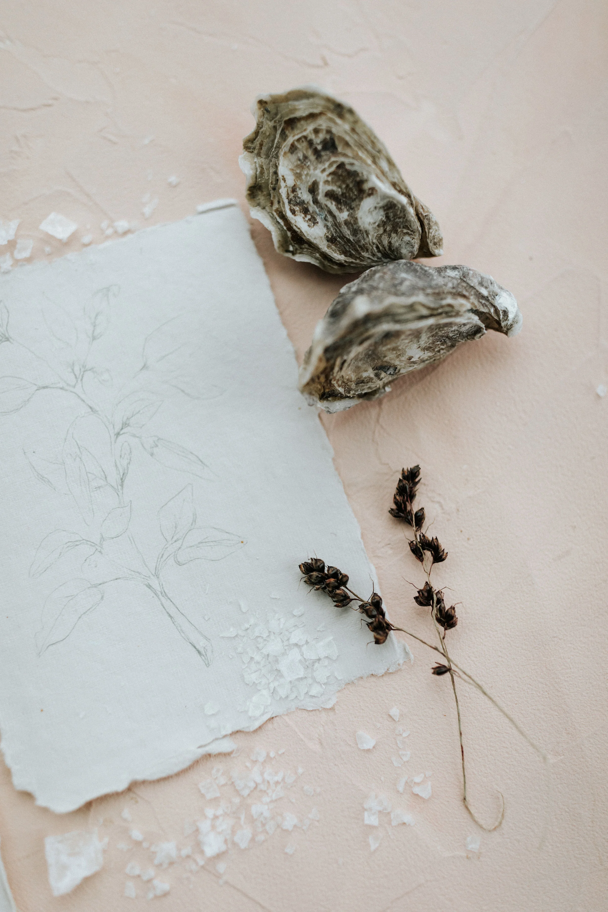 Scales_Styled_Shoot-052.jpg