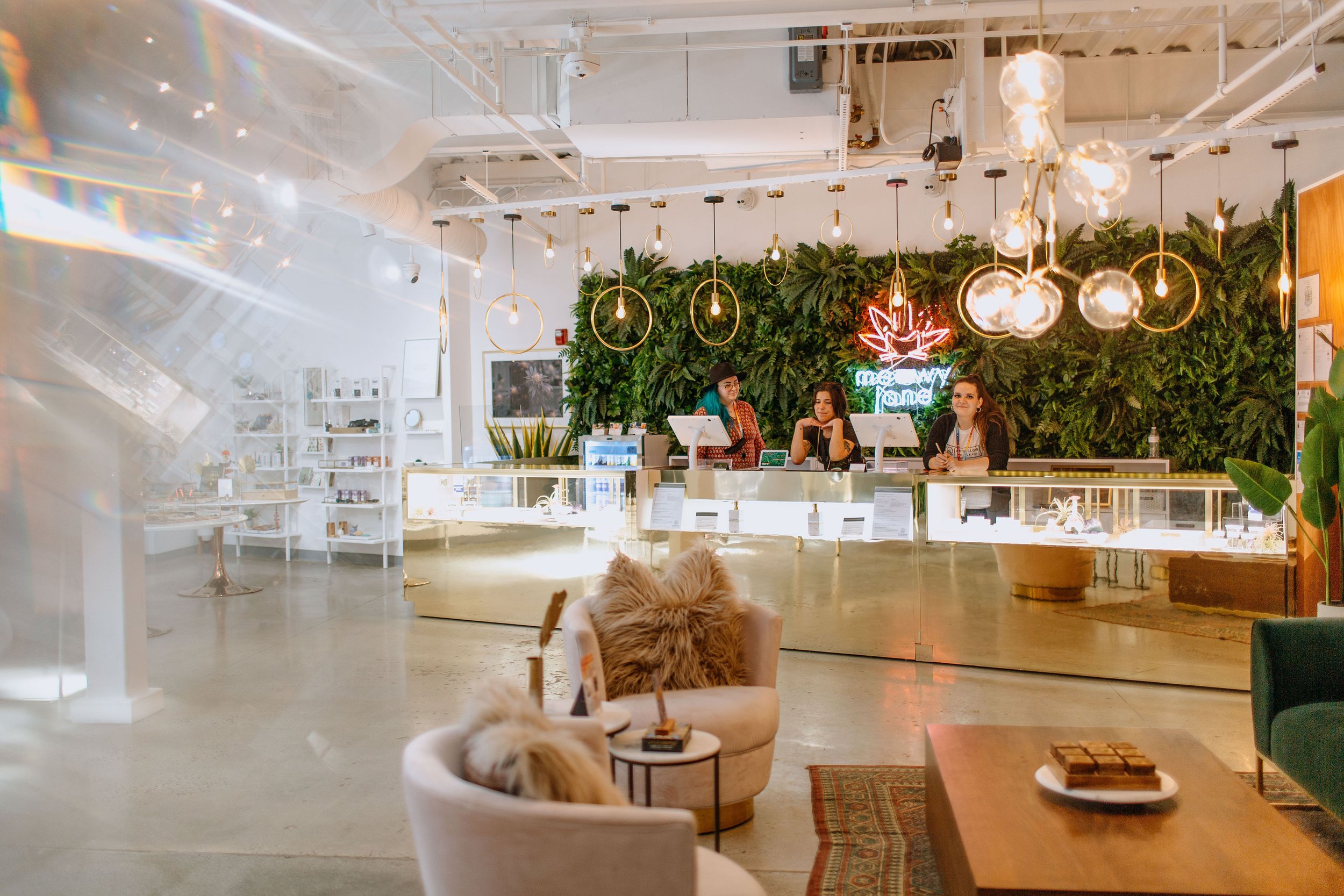 Meowy Jane Portland || Interior, Merch + Branding Design