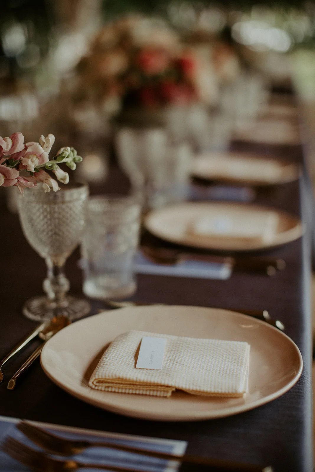 Lauren_Dani_Reception-120_websize.jpg