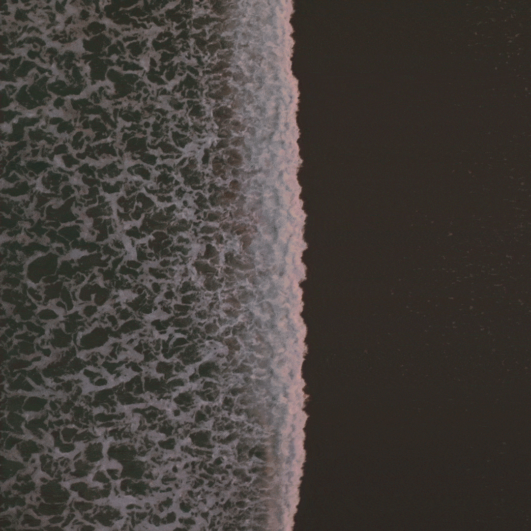 CARRIAGE HOUSE 3-min.gif