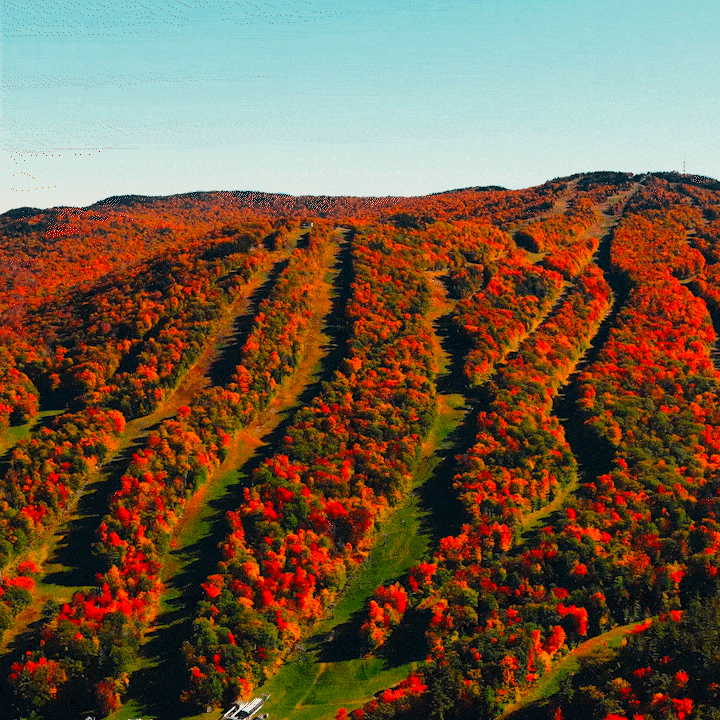 FALL 1_1.gif