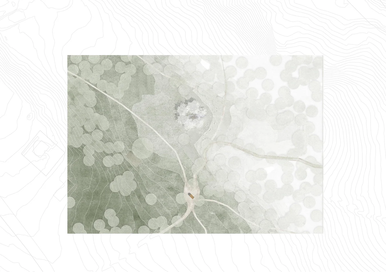 perenyistudio_normafa_01.jpg