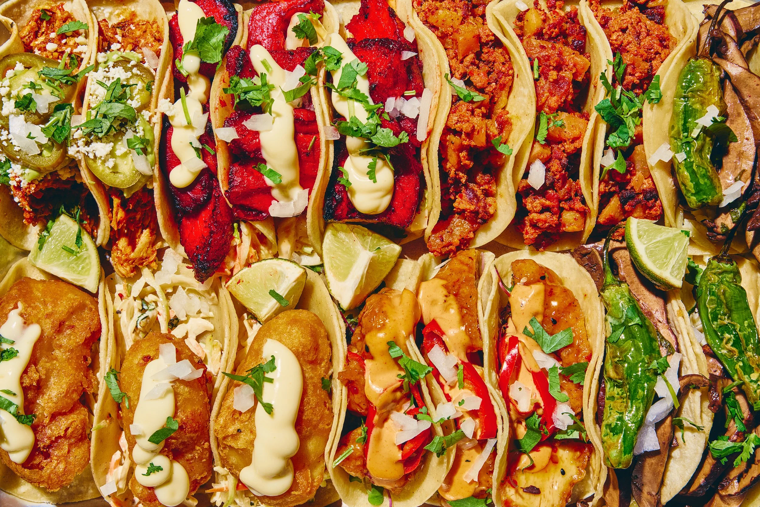 Hudson-Taco27.jpg