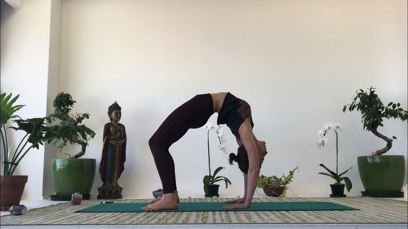 Chakrasana | Urdhva Dhanurasana | Wheel Pose