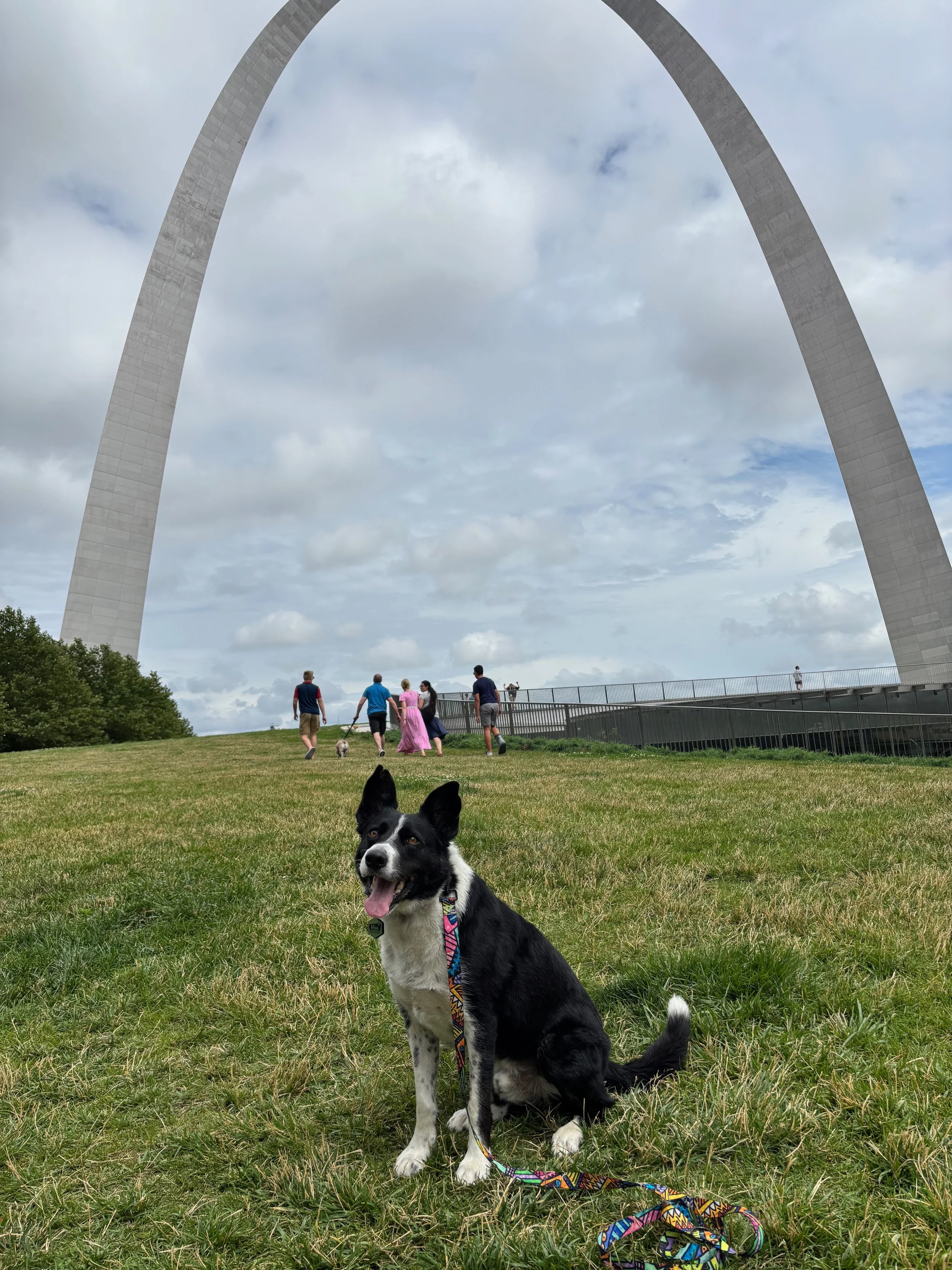 Gateway Arch National Park -- St. Louis, Moesurri