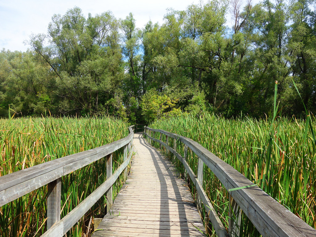 hiking near markham