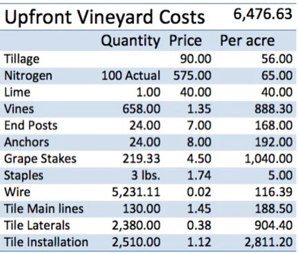 Vineyard-Est-image.jpg