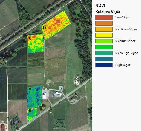 Figure 4: The NDVI response for the juice grape blocks at CLEREL Portland. Blocks A, B and D are Concord, Block C is Niagara.