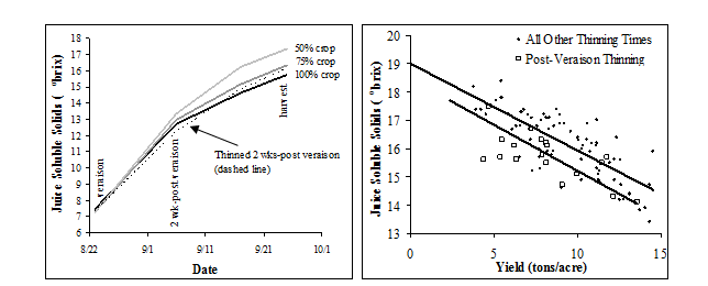 Figure 6A and B. Juice soluble solids accumulation from veraison to harvest on vines with different crop levels prior to veraison and on vines thinned 2 weeks post-veraison (A). The effect of yield on final harvest juice soluble solids of vines thinned at various times pre-veraison and 2 weeks post-veraison.