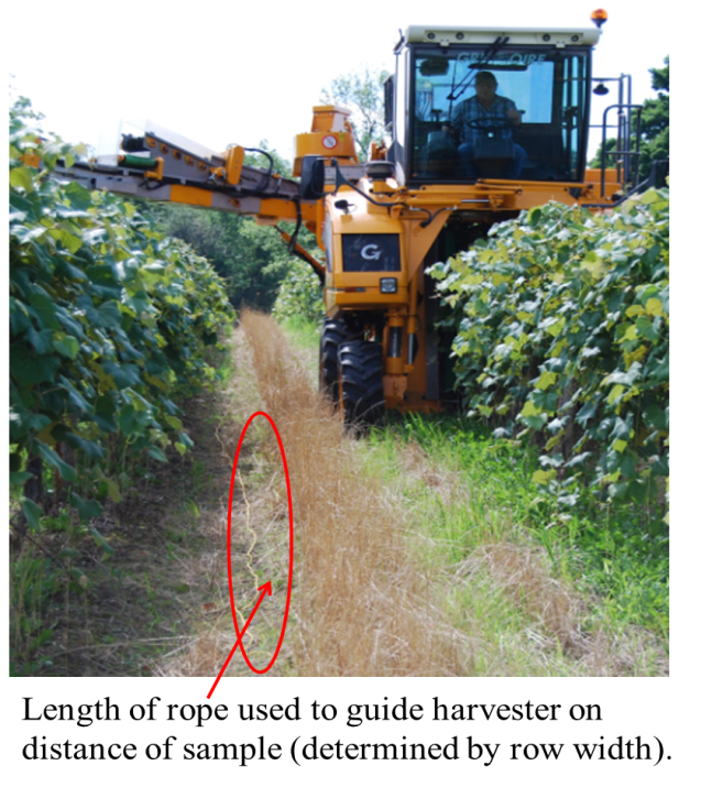 crop-est-1.png