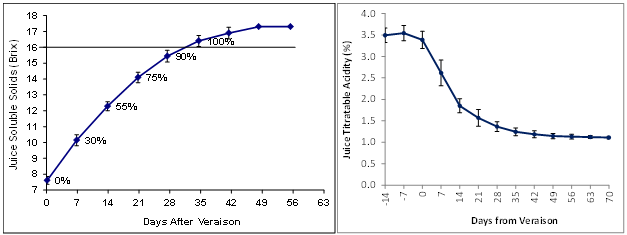 Typical ripening concentration curves of juice soluble solids (left) and juice titratable acidity (right) in Lake Erie Concord.