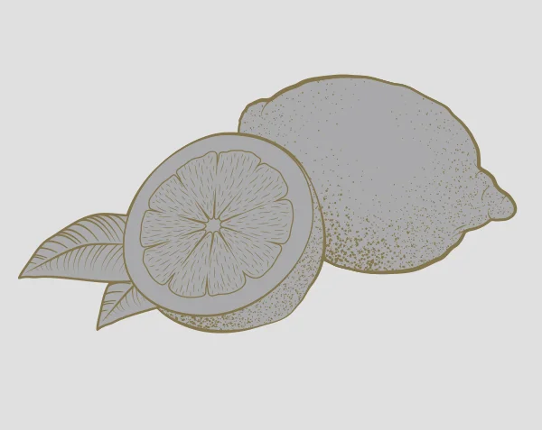 _0003_Lemon copy.jpg